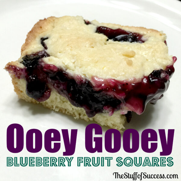 ooey gooey blueberry fruit squares