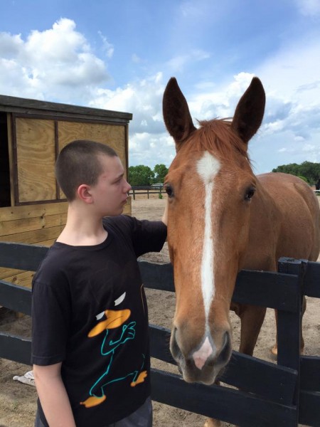 Dreamcatcher Horse Ranch Rescue Center