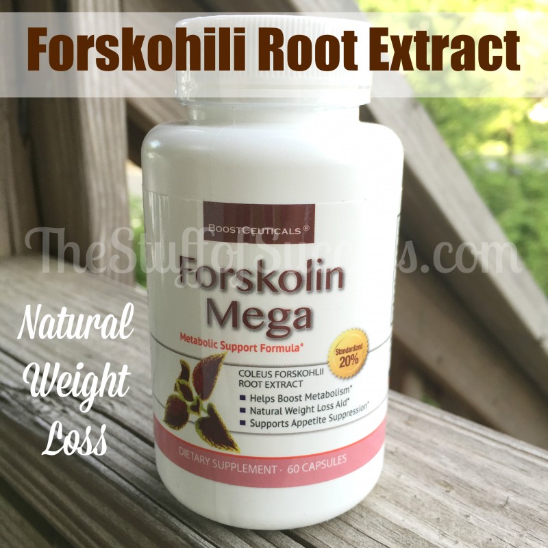 Forskohili Root Extract