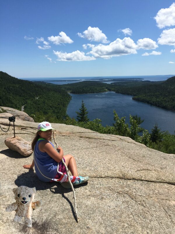 Snuggle Bear at Acadia National Park