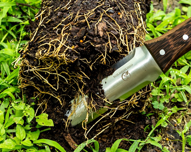 b11e244d5e4ceb7cebe2b313ba717a5ece89a1a6