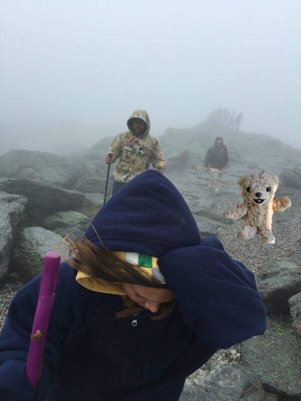 snuggle bear at Mount Washington