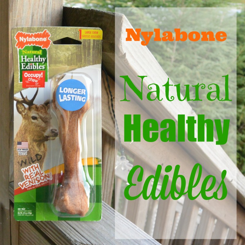 Nylabone Natural Healthy Edibles