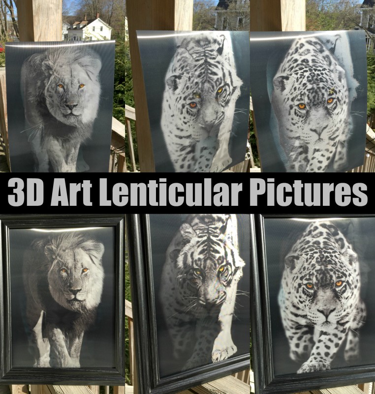3D Art Lenticular Pictures
