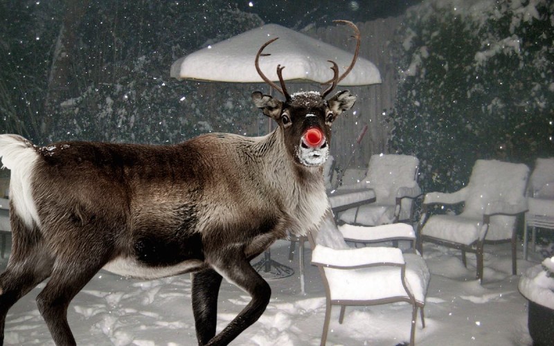 307e673f61dc3cdb7bc7bc65036649ace8811850_1