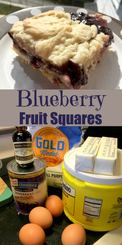 Blueberry Squares