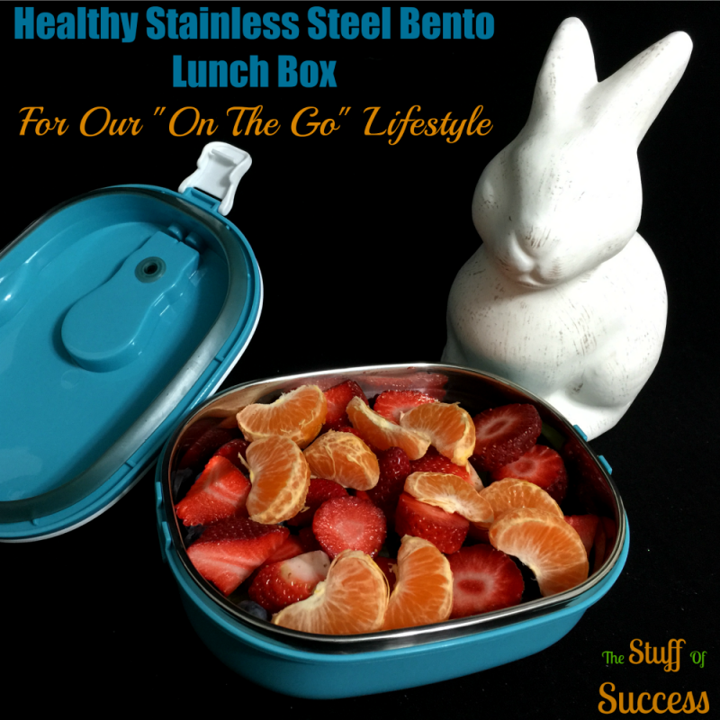 Healthy Stainless Steel Bento Lunch Box For Our On The Go Lifestyle