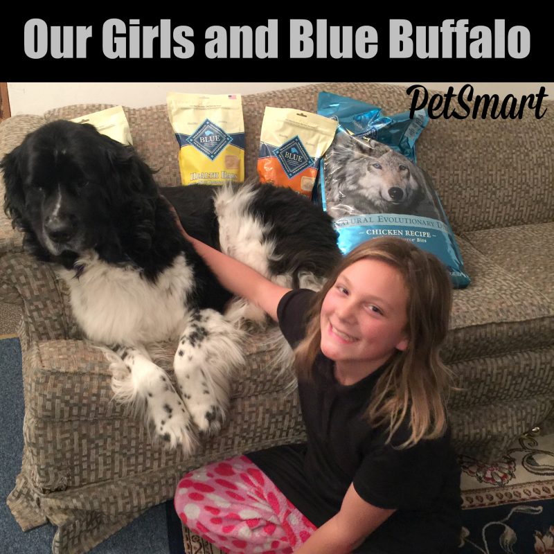 Blue Buffalo - The Best For Our Girl #BestofBLUE @BlueBuffalo @PetSmart
