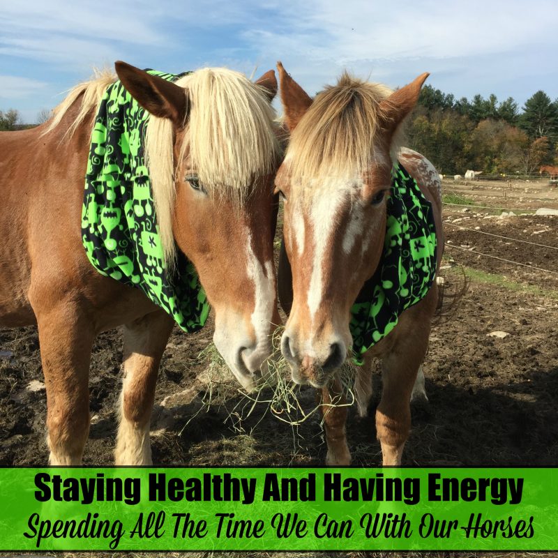 staying-healthy-for-the-horses