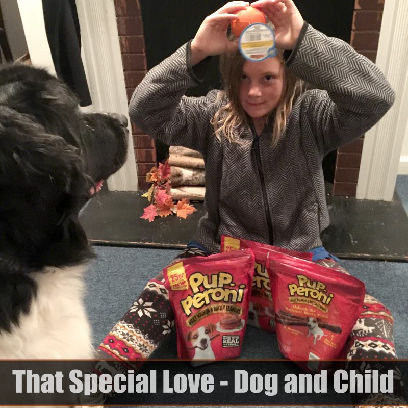 that-special-love-dog-and-child