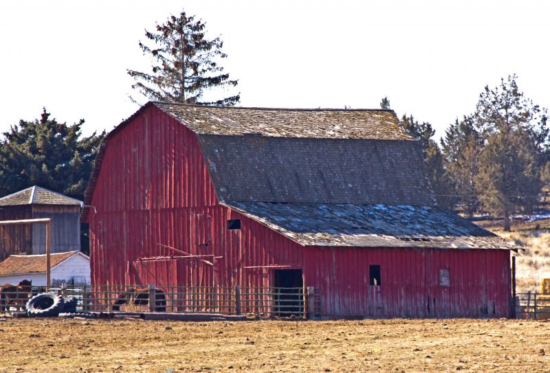 old-barn-cabin_mys4dwto