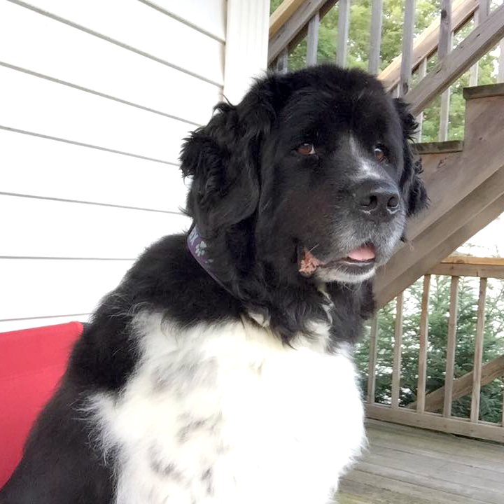 xena-lee-supervising