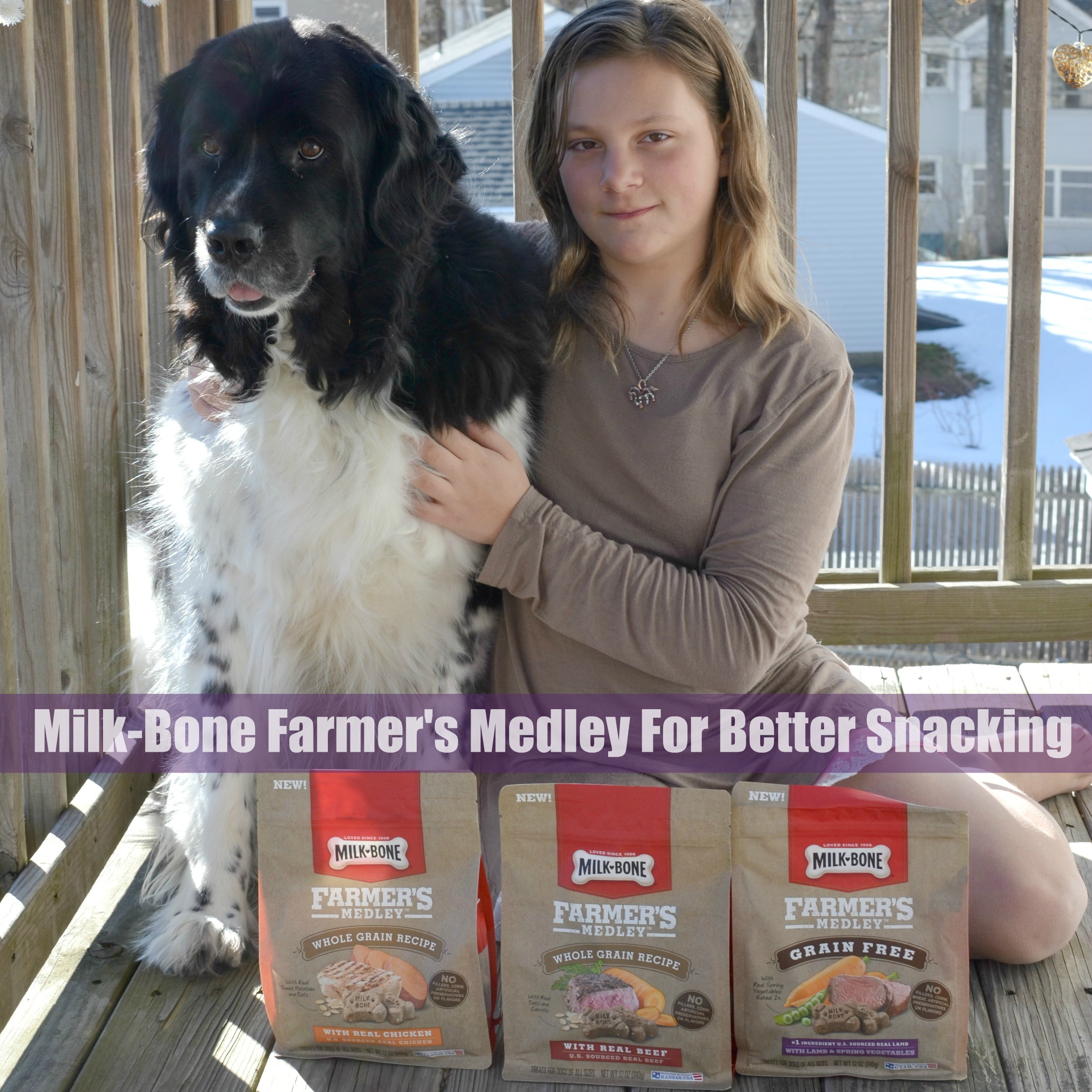 Milk-Bone Farmer's Medley For Better Snacking @milkbone #nationaldogbiscuitday #milkbone #ad