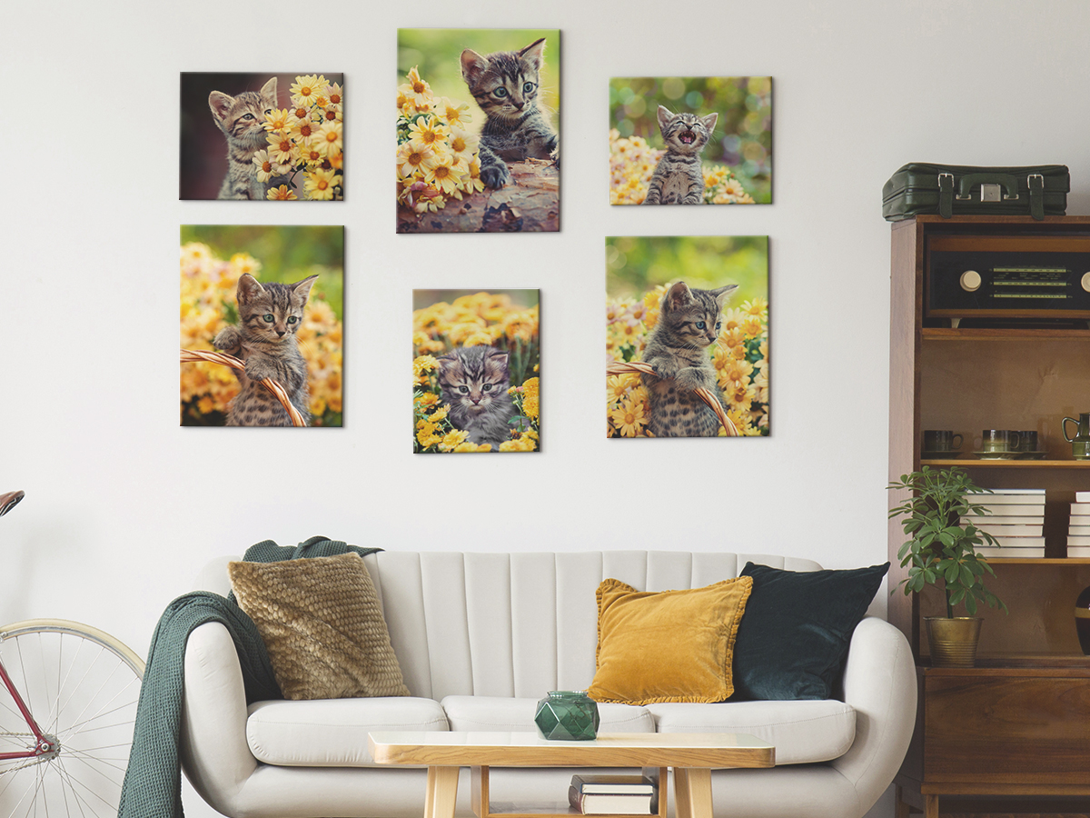 Huge Discount on 8x8 Canvas Prints With CanvasDiscount.com #CanvasDiscount  ⋆ The Stuff of Success
