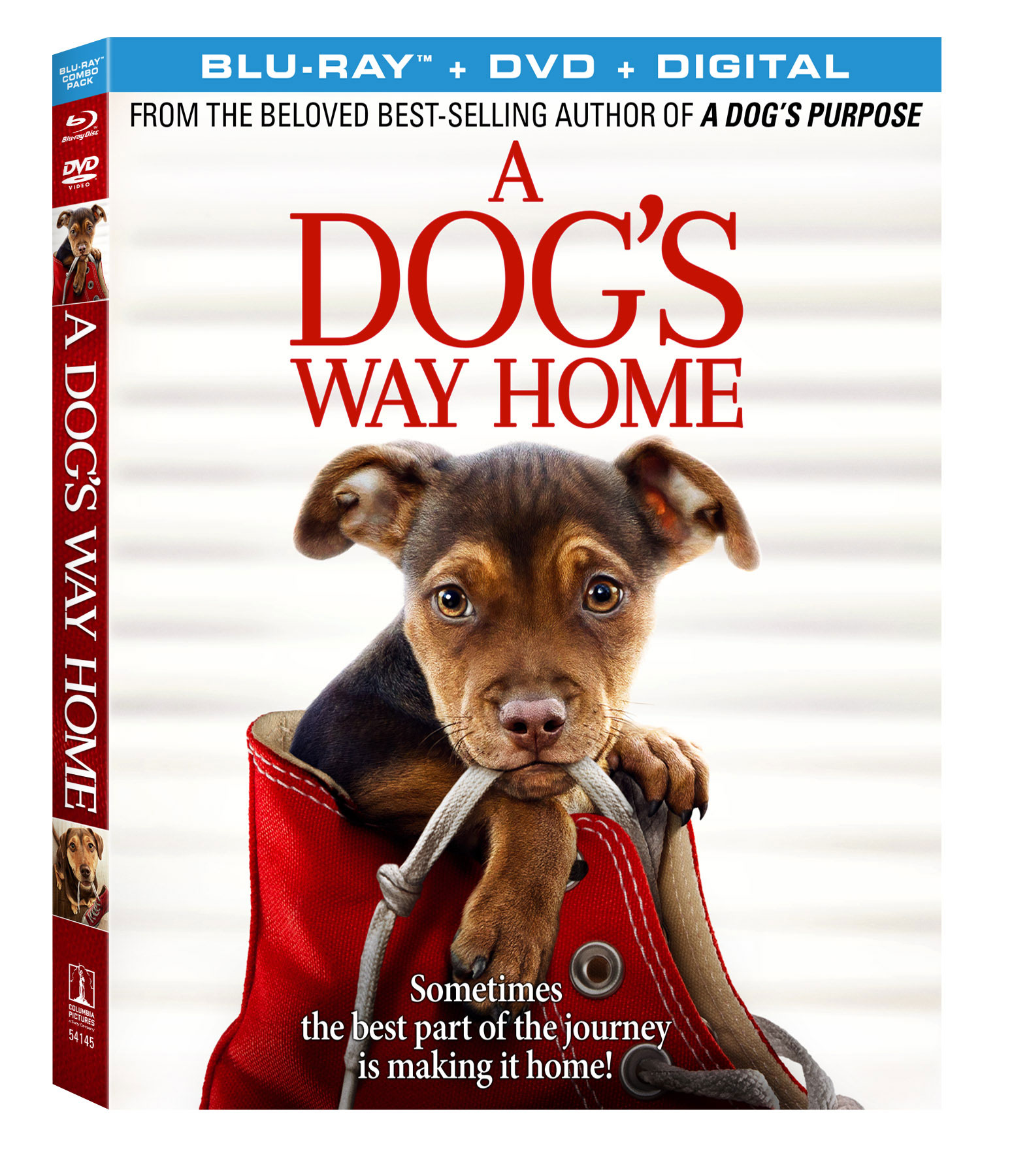 Sony Pictures' A DOG'S WAY HOME on Digital 3/26 and Blu-ray and DVD 4/9 ⋆  The Stuff of Success