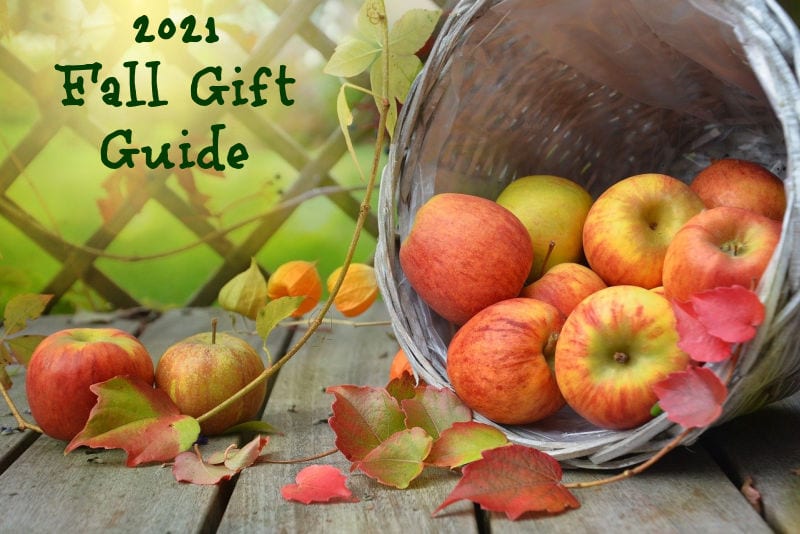 2021 Fall Gift Guide