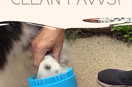 Allygoods Dog Plunger - Clean Paws!