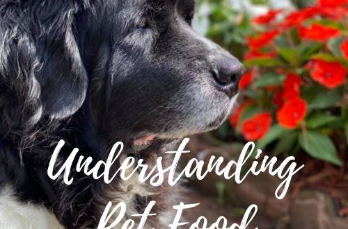 Understanding Pet Food Ingredients Lists