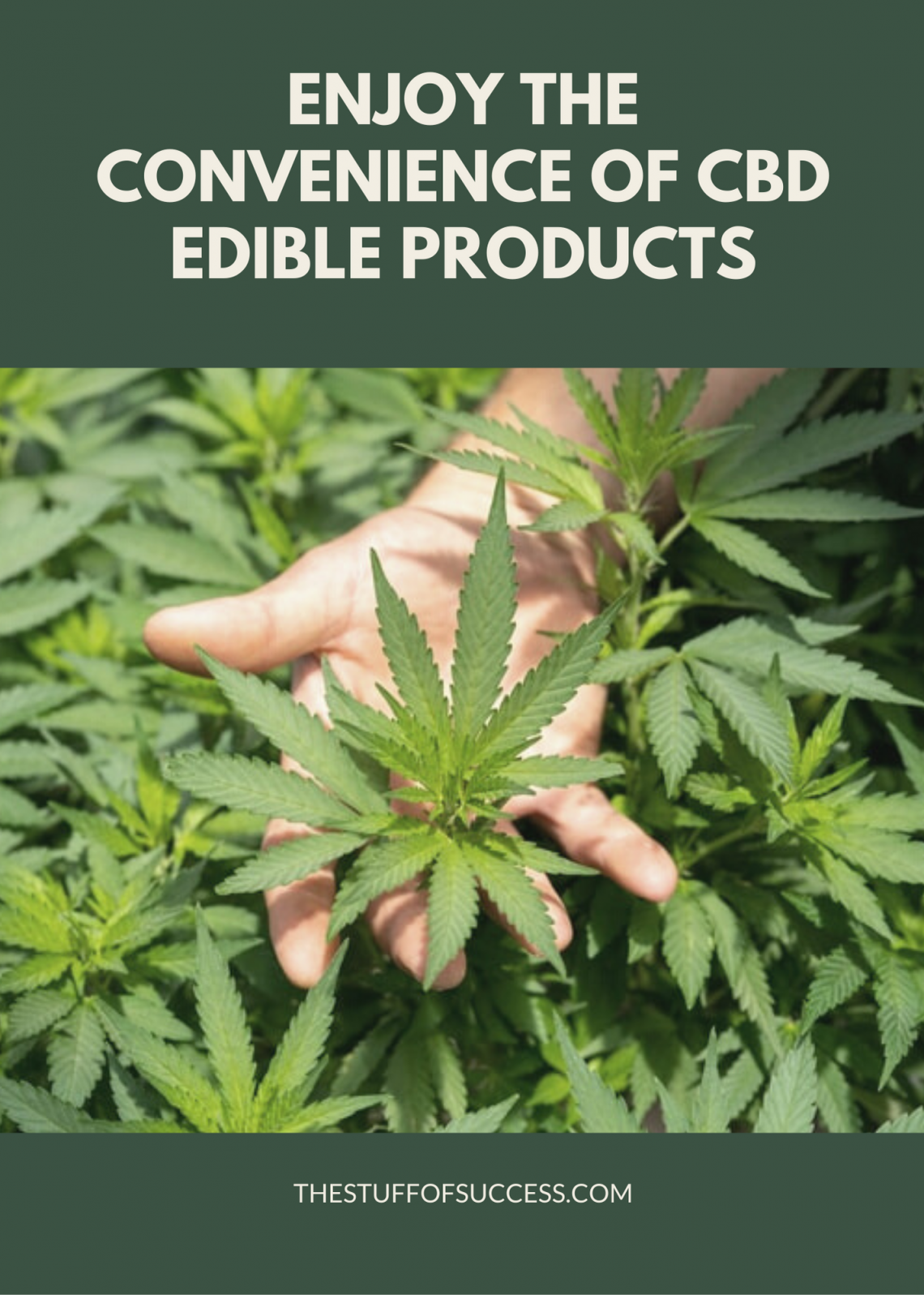 Enjoy the Convenience of CBD Edible Products