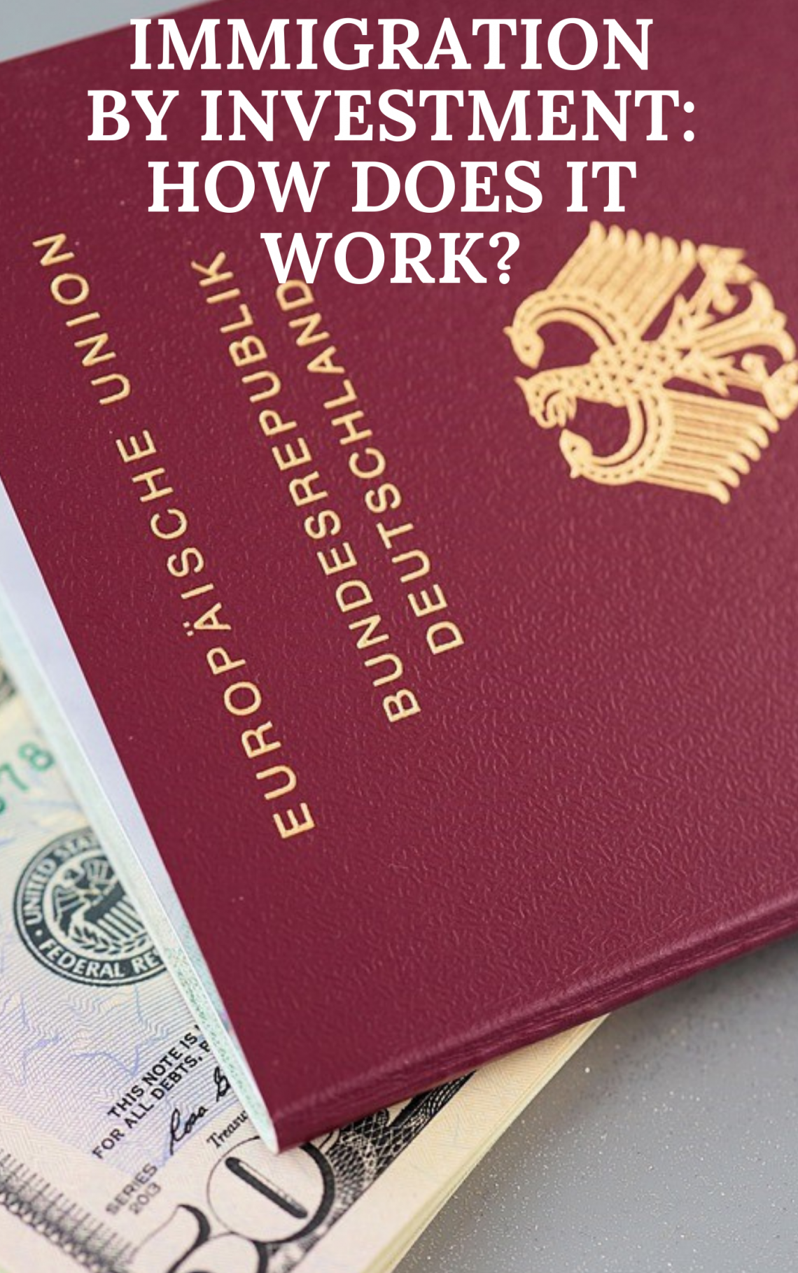 Immigration by Investment: How Does it Work?