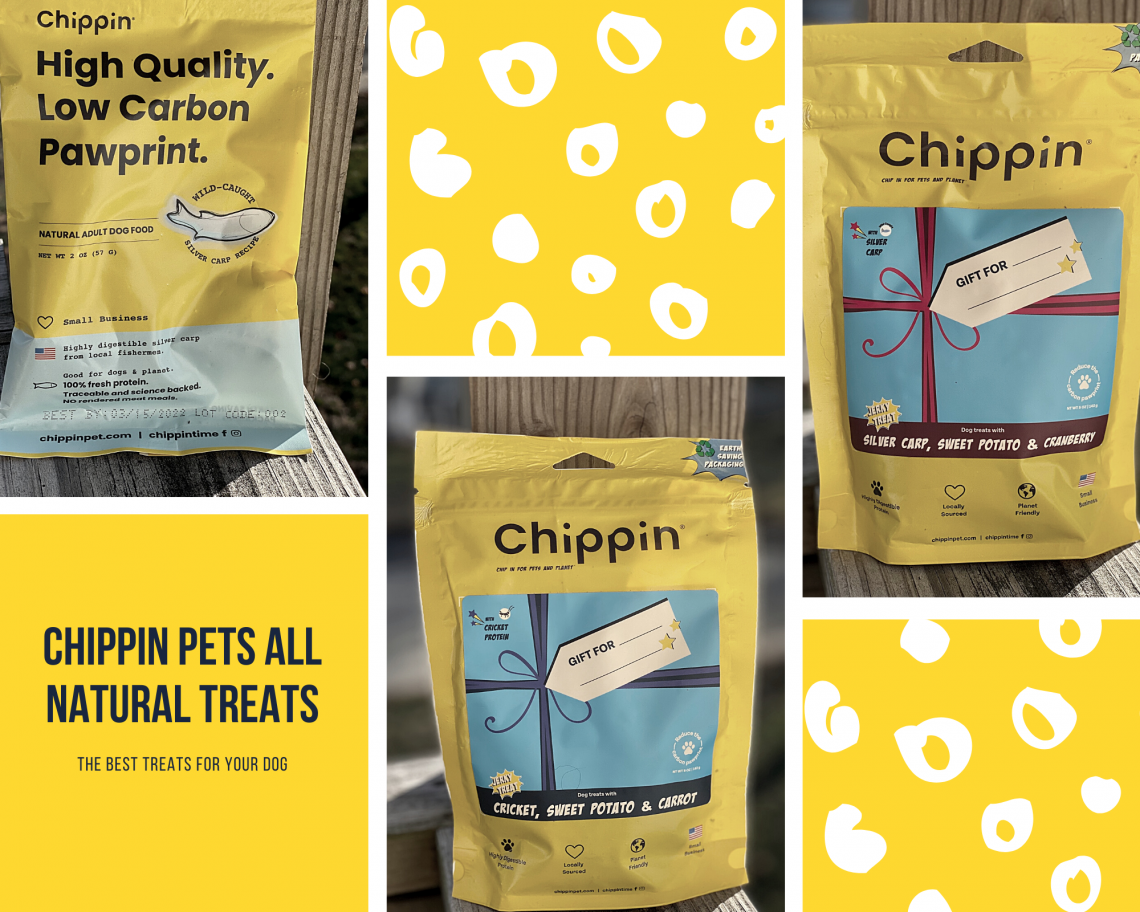 The Best Treats For Your Dog