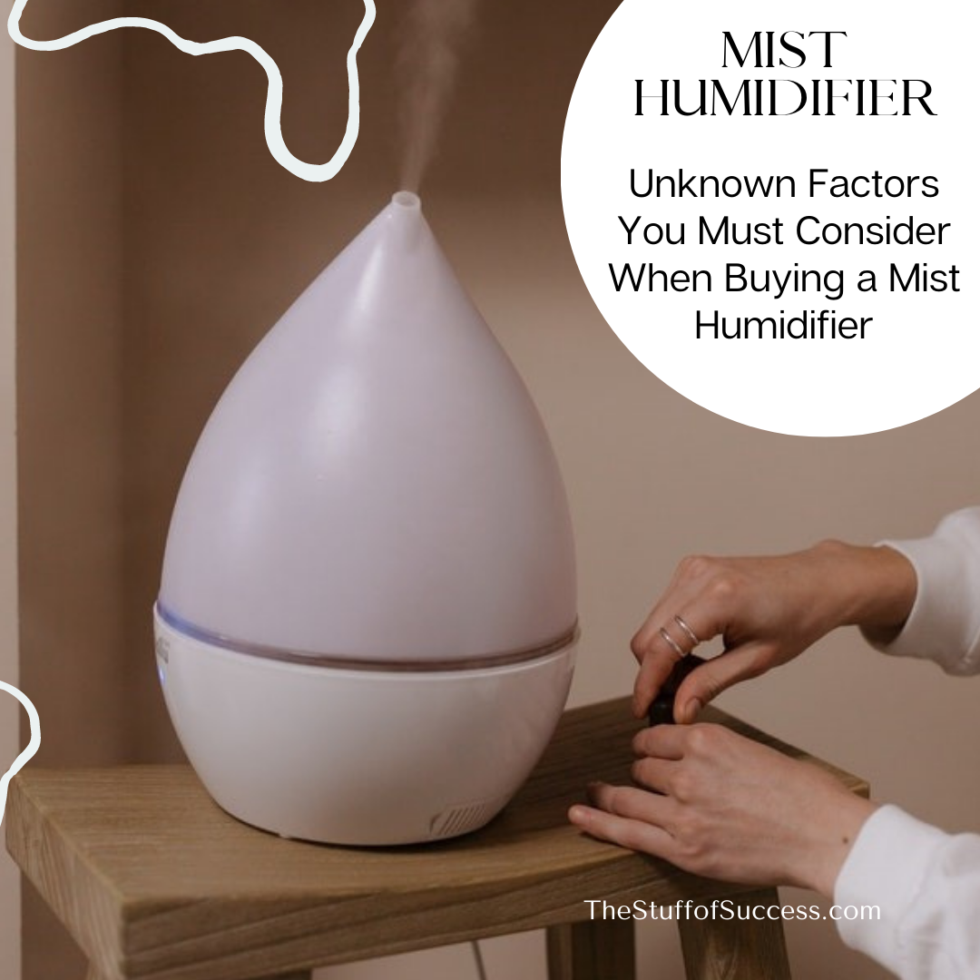 Unknown Factors You Must Consider When Buying a Mist Humidifier