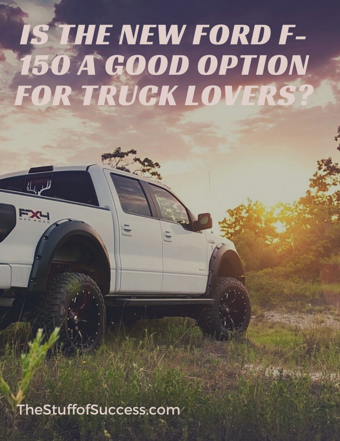 Is The New Ford F-150 A Good Option For Truck Lovers?