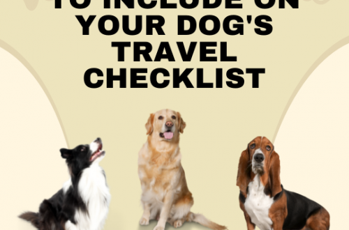 5 Essentials To Include on Your Dog's Travel Checklist