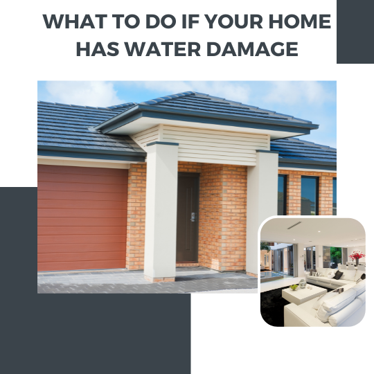 What to Do If Your Home Has Water Damage