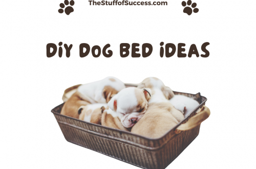 Dog Bed Ideas