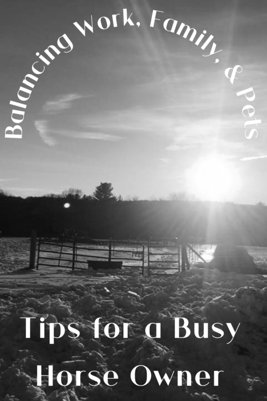 Balancing Work, Family, & Pets- Tips for a Busy Horse Owner