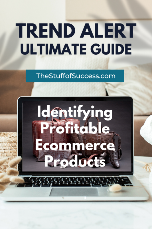 Trend Alert: The Ultimate Guide to Identifying Profitable Ecommerce Products