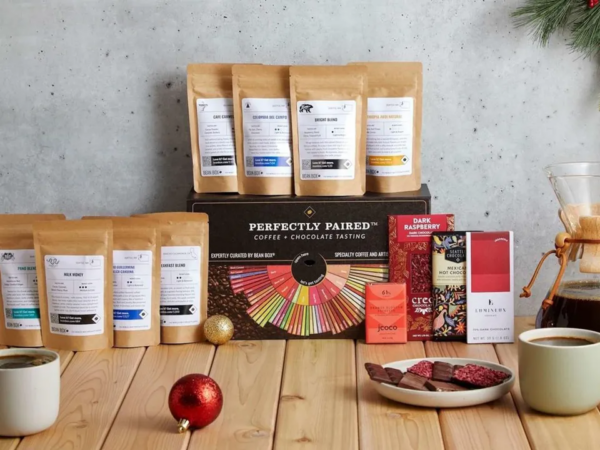 10 Best Christmas Gifts Guide 2024 ⋆ The Stuff of Success