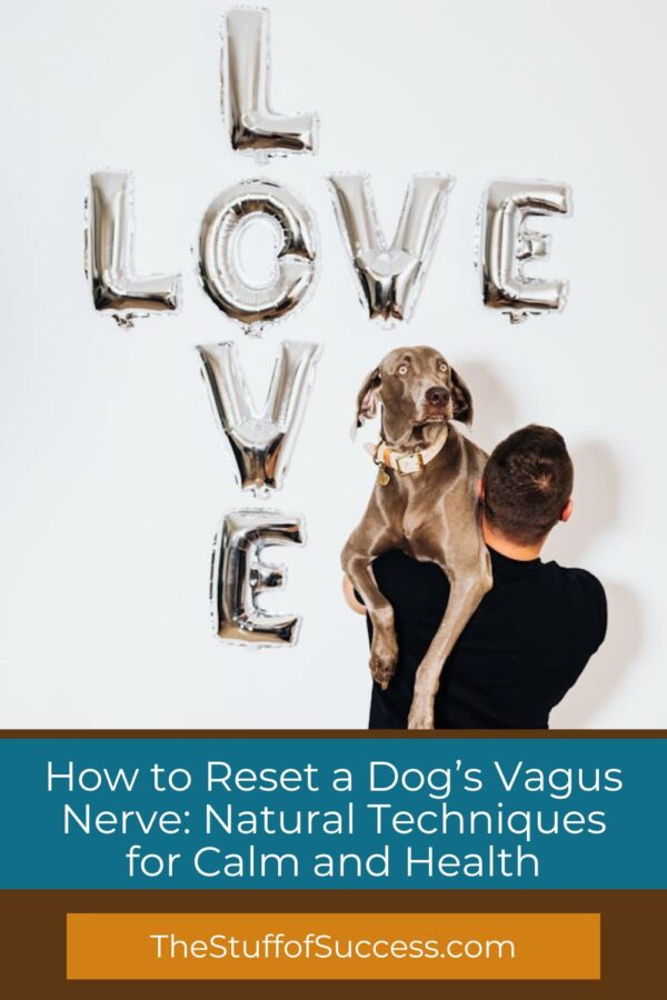 How to Reset a Dog’s Vagus Nerve: Natural Techniques for Calm and ... - Preventing Nerve Damage During Dog Grooming