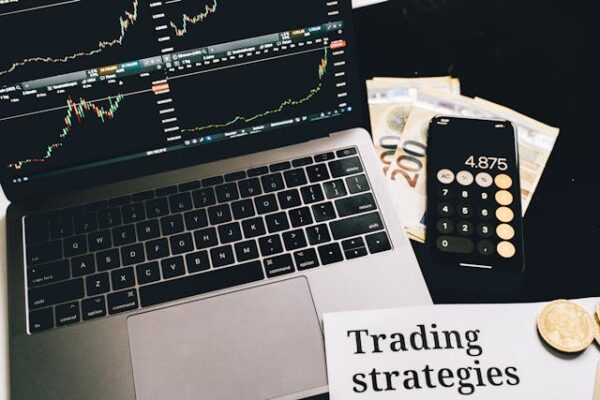asset ownership
